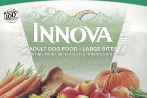 Best Innova Dog Food: Reviews & Health Guide World’s Most Delicious Foods: Must-Try Dishes from Every Country Best Innova Dog Food: Reviews & Health Guide | World’s Most Delicious Foods: Must-Try Dishes from Every Country