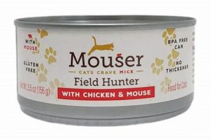 Best Mouser Cat Food: Reviews & Healthier Choices | World’s Most Delicious Foods: Must-Try Dishes from Every Country