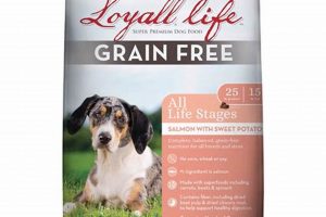 Is Loyall Life Dog Food Right for Your Loyal Friend? | World’s Most Delicious Foods: Must-Try Dishes from Every Country