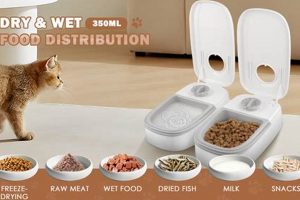Best Smart Wet Cat Food Feeder: Auto Feed with Pet ID | World’s Most Delicious Foods: Must-Try Dishes from Every Country