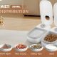 Best Smart Wet Cat Food Feeder: Auto Feed with Pet ID | World’s Most Delicious Foods: Must-Try Dishes from Every Country