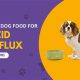 Top-Rated: Best Dog Food for Acid Reflux Relief Today! | World’s Most Delicious Foods: Must-Try Dishes from Every Country