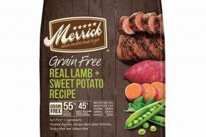 Best Lamb & Sweet Potato Dog Food: Health & Taste! | World’s Most Delicious Foods: Must-Try Dishes from Every Country