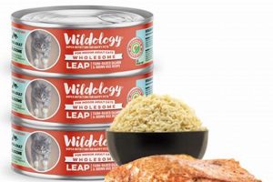 Discover Wildology Cat Food: Optimal Feline Nutrition | World’s Most Delicious Foods: Must-Try Dishes from Every Country