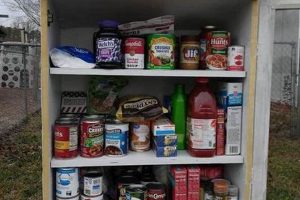 Local Food Pantries in Greenville, NC: Find Help & Donate | World’s Most Delicious Foods: Must-Try Dishes from Every Country