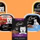 Cesar Dog Food: Is It Healthy for Dogs? [Expert Review] | World’s Most Delicious Foods: Must-Try Dishes from Every Country