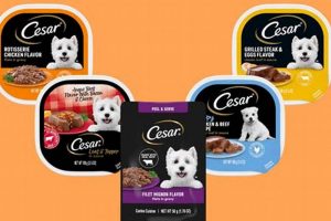 Cesar Dog Food: Is It Good? Expert Review + Alternatives | World’s Most Delicious Foods: Must-Try Dishes from Every Country