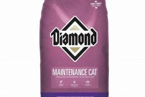 Diamond Maintenance Cat Food: Healthy Cat, Happy Life! | World’s Most Delicious Foods: Must-Try Dishes from Every Country