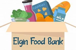 Elgin Food Bank: Fighting Hunger in Elgin IL | World’s Most Delicious Foods: Must-Try Dishes from Every Country