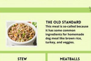 DIY Dog Food: Nutritiously Complete Recipes PDF Guide World’s Most Delicious Foods: Must-Try Dishes from Every Country DIY Dog Food: Nutritiously Complete Recipes PDF Guide | World’s Most Delicious Foods: Must-Try Dishes from Every Country