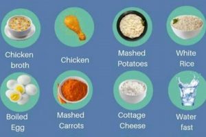 Dog's Diet: What Food Is Good for Dogs With Diarrhea? | Guide | World’s Most Delicious Foods: Must-Try Dishes from Every Country