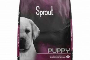 Best Sprout Dog Food: Healthier, Happier Dogs! | World’s Most Delicious Foods: Must-Try Dishes from Every Country