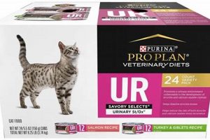 Pro Plan UR Wet Cat Food: Urinary Support for Cats | World’s Most Delicious Foods: Must-Try Dishes from Every Country