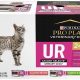 Pro Plan UR Wet Cat Food: Urinary Support for Cats | World’s Most Delicious Foods: Must-Try Dishes from Every Country