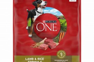 Best Lamb & Rice Dog Food: Nourish Your Pup | World’s Most Delicious Foods: Must-Try Dishes from Every Country
