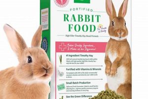 Is Rabbit Food Good for Dogs? Expert Guide + Recipes | World’s Most Delicious Foods: Must-Try Dishes from Every Country