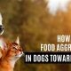 Help! How to Stop Food Aggression in Cats: Tips &amp; Tricks | World’s Most Delicious Foods: Must-Try Dishes from Every Country