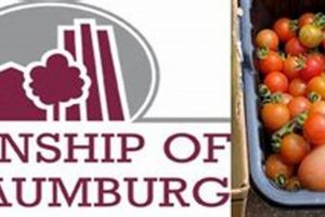 Your Guide: Schaumburg Food Pantry - Support & Access | World’s Most Delicious Foods: Must-Try Dishes from Every Country