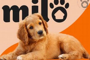 Milo Dog Food: Nutrition for a Healthy, Happy Dog | World’s Most Delicious Foods: Must-Try Dishes from Every Country