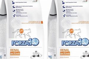 Is Forza10 Renal Cat Food Review Worth It? + Guide | World’s Most Delicious Foods: Must-Try Dishes from Every Country