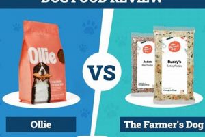 Fresh Showdown: Ollie vs Farmer's Dog Food - Which Wins? | World’s Most Delicious Foods: Must-Try Dishes from Every Country