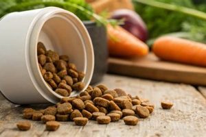 Dog Food Shelf Life: How Long Does Dry Dog Food Last? | World’s Most Delicious Foods: Must-Try Dishes from Every Country