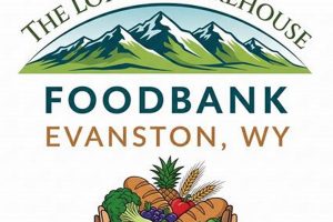 Supporting Evanston Food Bank: Your Guide, Resources | World’s Most Delicious Foods: Must-Try Dishes from Every Country