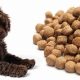 Top-Rated: Best Puppy Food for Labradoodles (Expert Picks!) | World’s Most Delicious Foods: Must-Try Dishes from Every Country