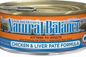 Boost Cat Health: Choline Chloride in Cat Food Guide | World’s Most Delicious Foods: Must-Try Dishes from Every Country