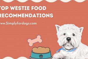 Top Picks: Best Food for Westie Puppies Guide 2024 | World’s Most Delicious Foods: Must-Try Dishes from Every Country
