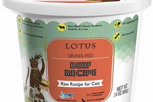 Lotus Raw Cat Food: Is It the Best Choice for Your Cat? | World’s Most Delicious Foods: Must-Try Dishes from Every Country