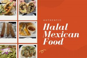 Find Halal Mexican Food Near Me: Authentic & Delicious! | World’s Most Delicious Foods: Must-Try Dishes from Every Country