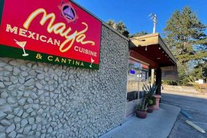 Best Mexican Food Scotts Valley CA: Tacos & More! | World’s Most Delicious Foods: Must-Try Dishes from Every Country