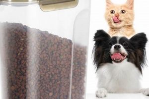 Best Travel Dog Food Container: Portable Pet Bowls! World’s Most Delicious Foods: Must-Try Dishes from Every Country Best Travel Dog Food Container: Portable Pet Bowls! | World’s Most Delicious Foods: Must-Try Dishes from Every Country