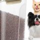 Best Travel Dog Food Container: Portable Pet Bowls! | World’s Most Delicious Foods: Must-Try Dishes from Every Country