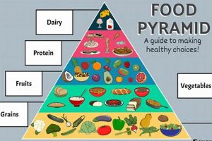 Best Food Pyramid Use: Your Expert Guide | World’s Most Delicious Foods: Must-Try Dishes from Every Country