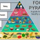 Best Food Pyramid Use: Your Expert Guide | World’s Most Delicious Foods: Must-Try Dishes from Every Country