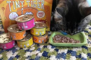 Review: Is Tiny Tiger Good Cat Food? [Pros & Cons] | World’s Most Delicious Foods: Must-Try Dishes from Every Country