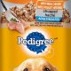 Why PEDIGREE Dog Food Can? + Buying Tips | World’s Most Delicious Foods: Must-Try Dishes from Every Country