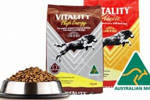 Best Vitality Dog Food: Power Your Pup's Health! | World’s Most Delicious Foods: Must-Try Dishes from Every Country