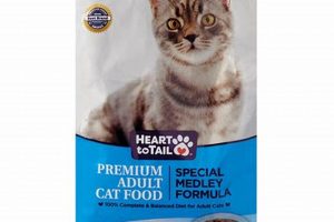 Best Heart to Tail Cat Food: Healthy & Happy Cats | World’s Most Delicious Foods: Must-Try Dishes from Every Country