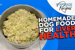 DIY Homemade Dog Food for Liver Disease: Recipes & Tips | World’s Most Delicious Foods: Must-Try Dishes from Every Country