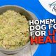 DIY Homemade Dog Food for Liver Disease: Recipes & Tips | World’s Most Delicious Foods: Must-Try Dishes from Every Country
