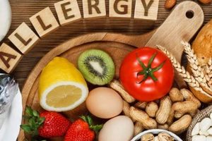 Top Choices: Best Food for Labs with Allergies (Guide) | World’s Most Delicious Foods: Must-Try Dishes from Every Country