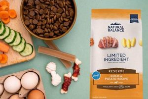 Best Reviews: Natural Balance Dog Food Analysis + More! | World’s Most Delicious Foods: Must-Try Dishes from Every Country