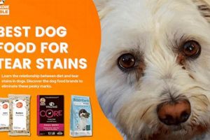 Top Picks: Best Dog Food for Tear Stains Today World’s Most Delicious Foods: Must-Try Dishes from Every Country Top Picks: Best Dog Food for Tear Stains Today | World’s Most Delicious Foods: Must-Try Dishes from Every Country