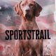 Fueling Performance: Sports Trail Dog Food For Active Dogs | World’s Most Delicious Foods: Must-Try Dishes from Every Country