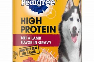Benefits of High Protein Dog Food Canned Now! | World’s Most Delicious Foods: Must-Try Dishes from Every Country