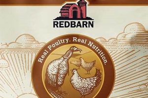 Buy Redbarn Grain-Free Sky Recipe 4lb? Expert Review! | World’s Most Delicious Foods: Must-Try Dishes from Every Country