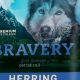 Best Bravery Dog Food: A Guide &amp; Reviews For Your Dog! | World’s Most Delicious Foods: Must-Try Dishes from Every Country